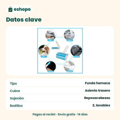 Datos clave