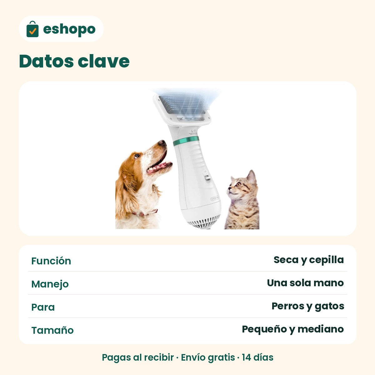 Datos clave