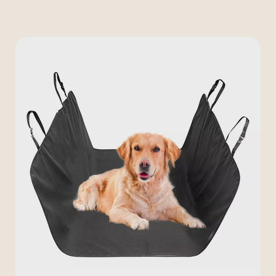 Kit viaje limpio para perro en vídeo