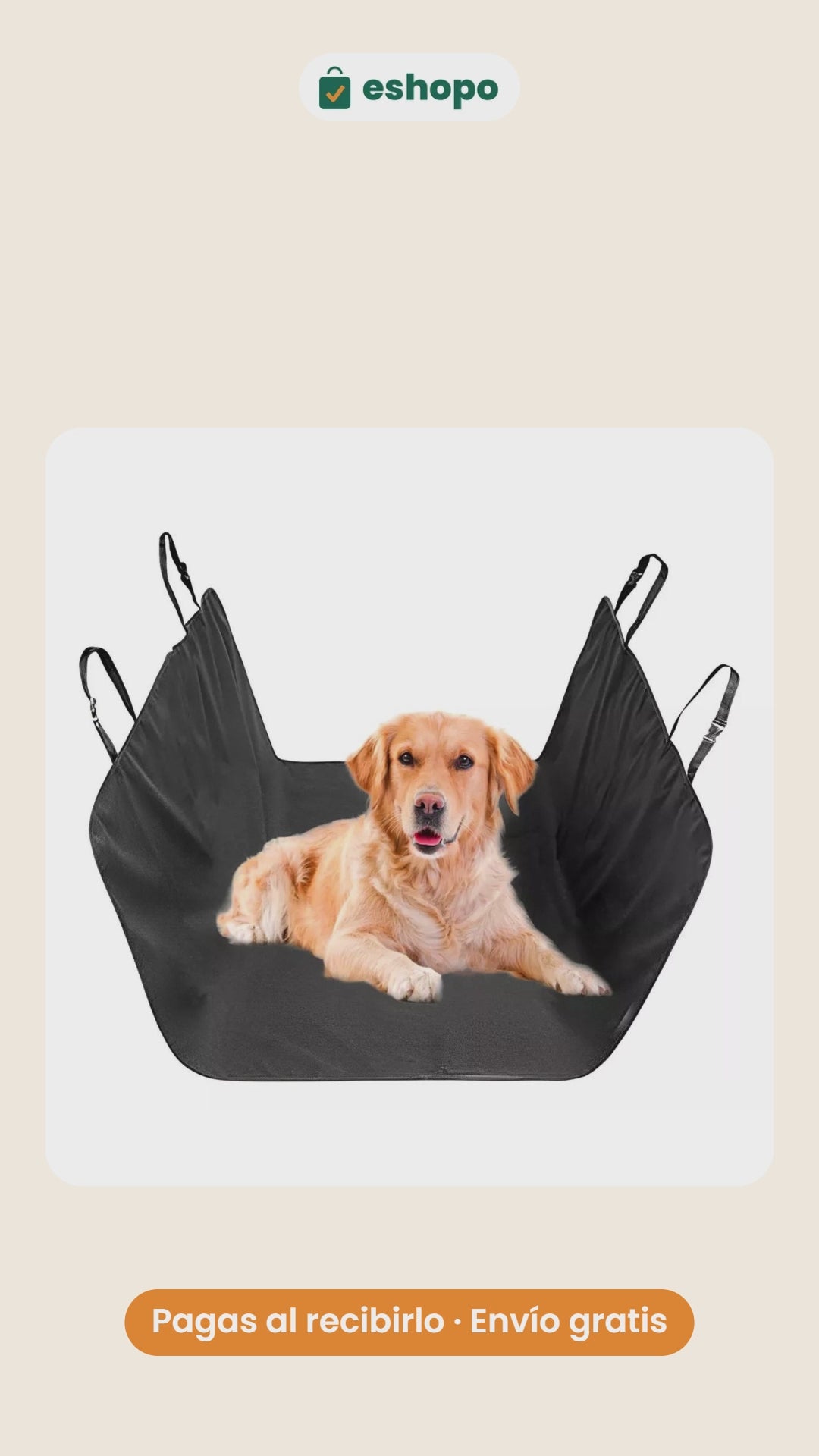 Kit viaje limpio para perro en vídeo